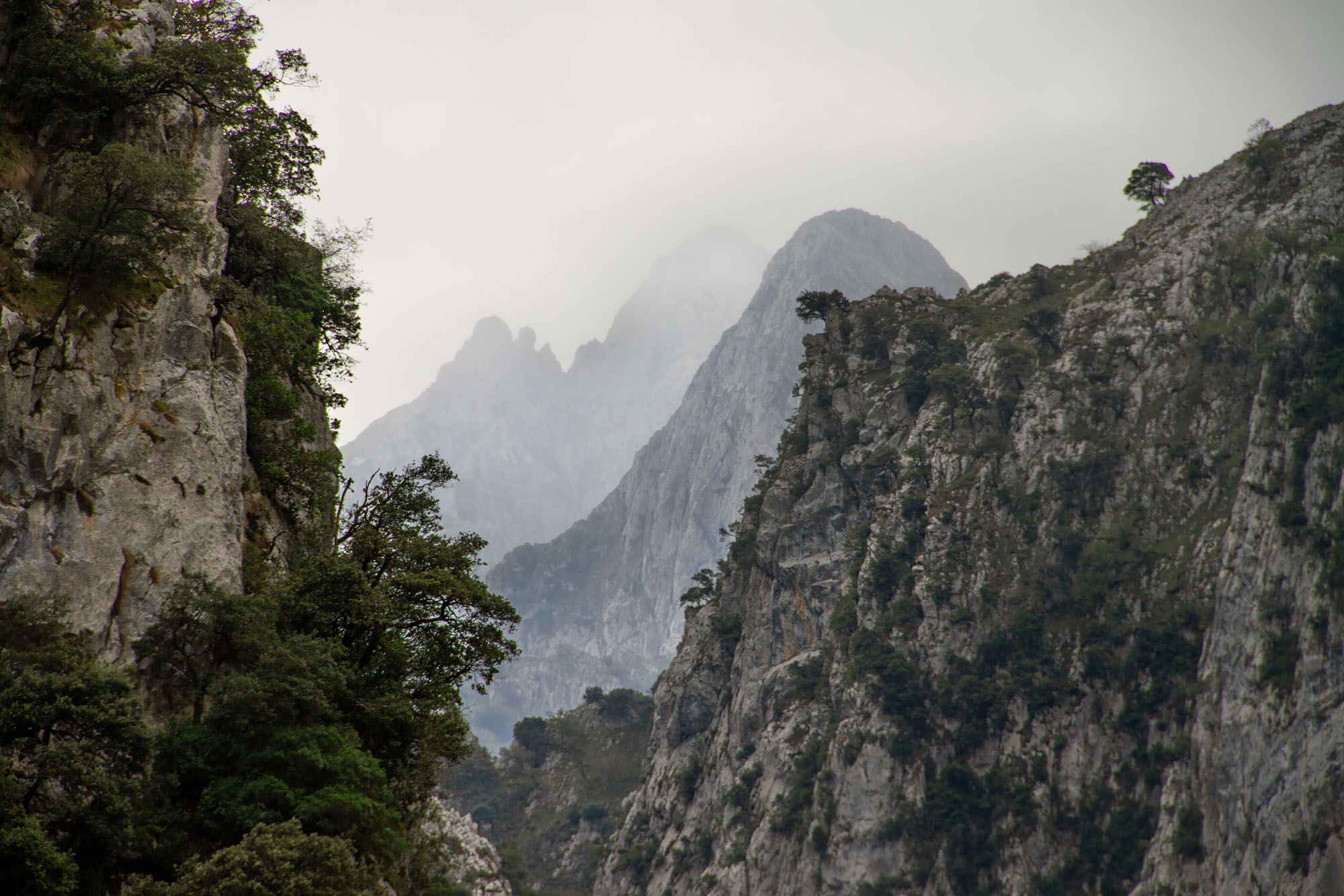 Framed Photos Picos de Europa