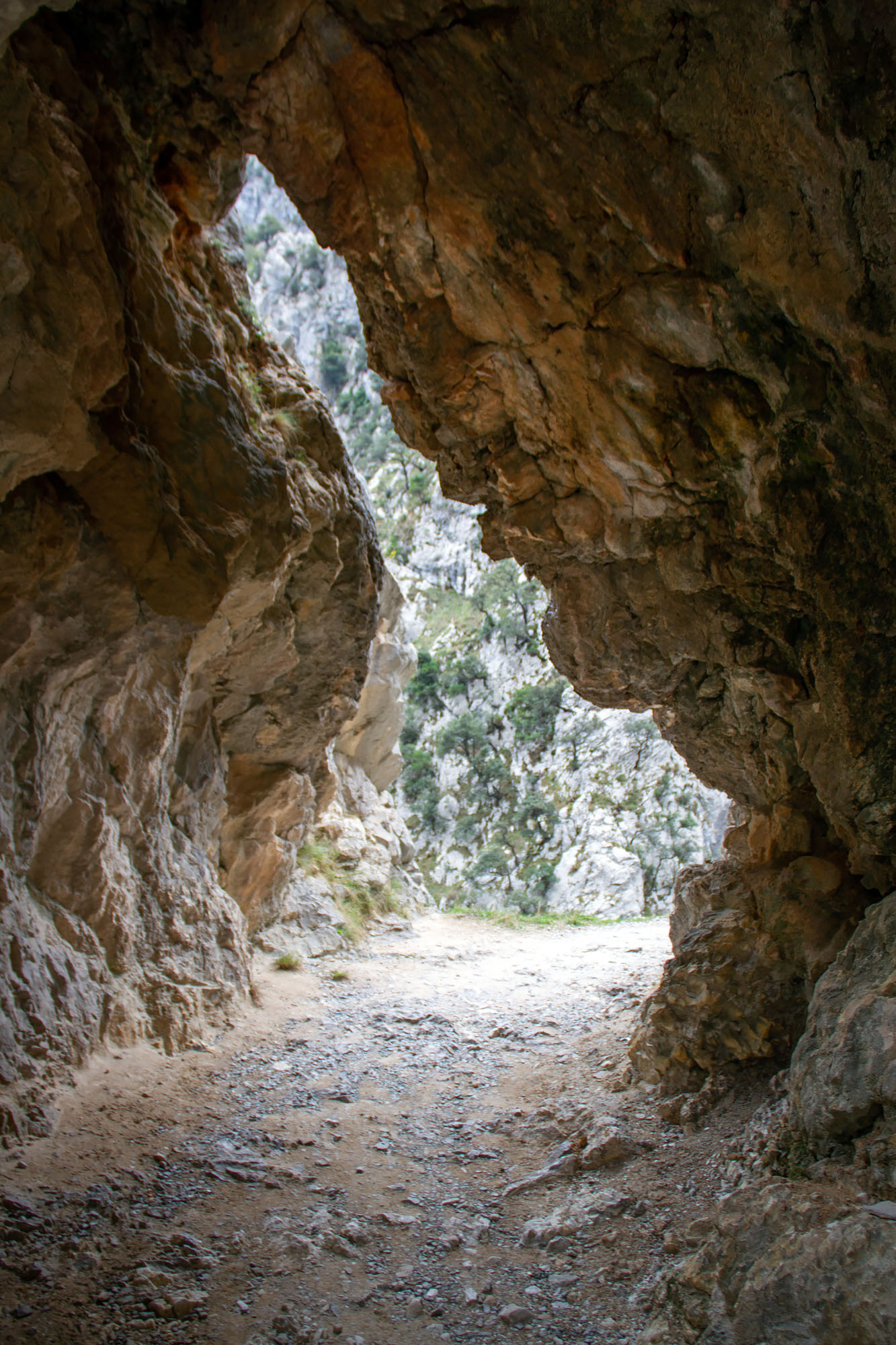 Hike through mountain Asturias