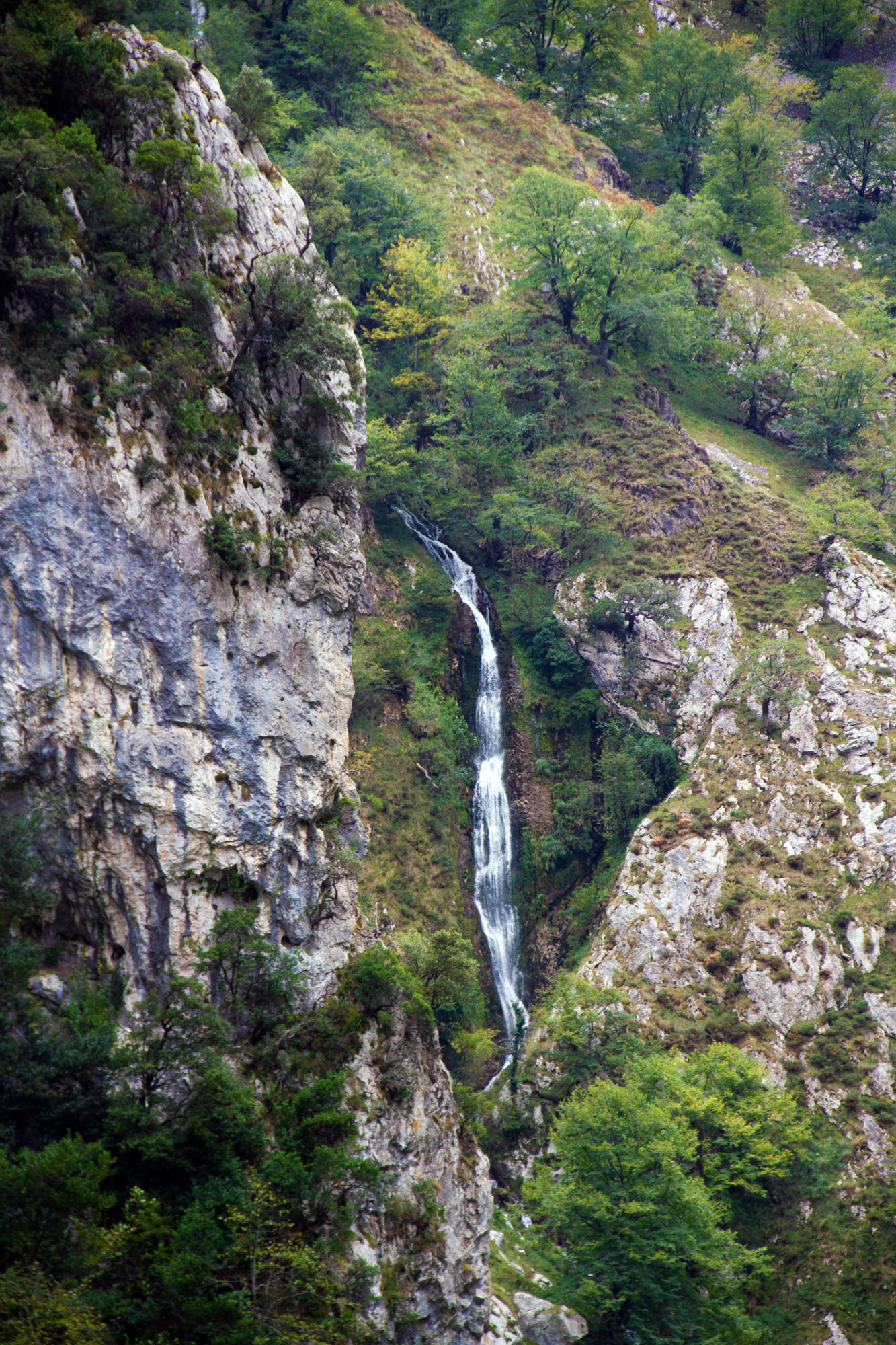 Picos de Europa waterfall