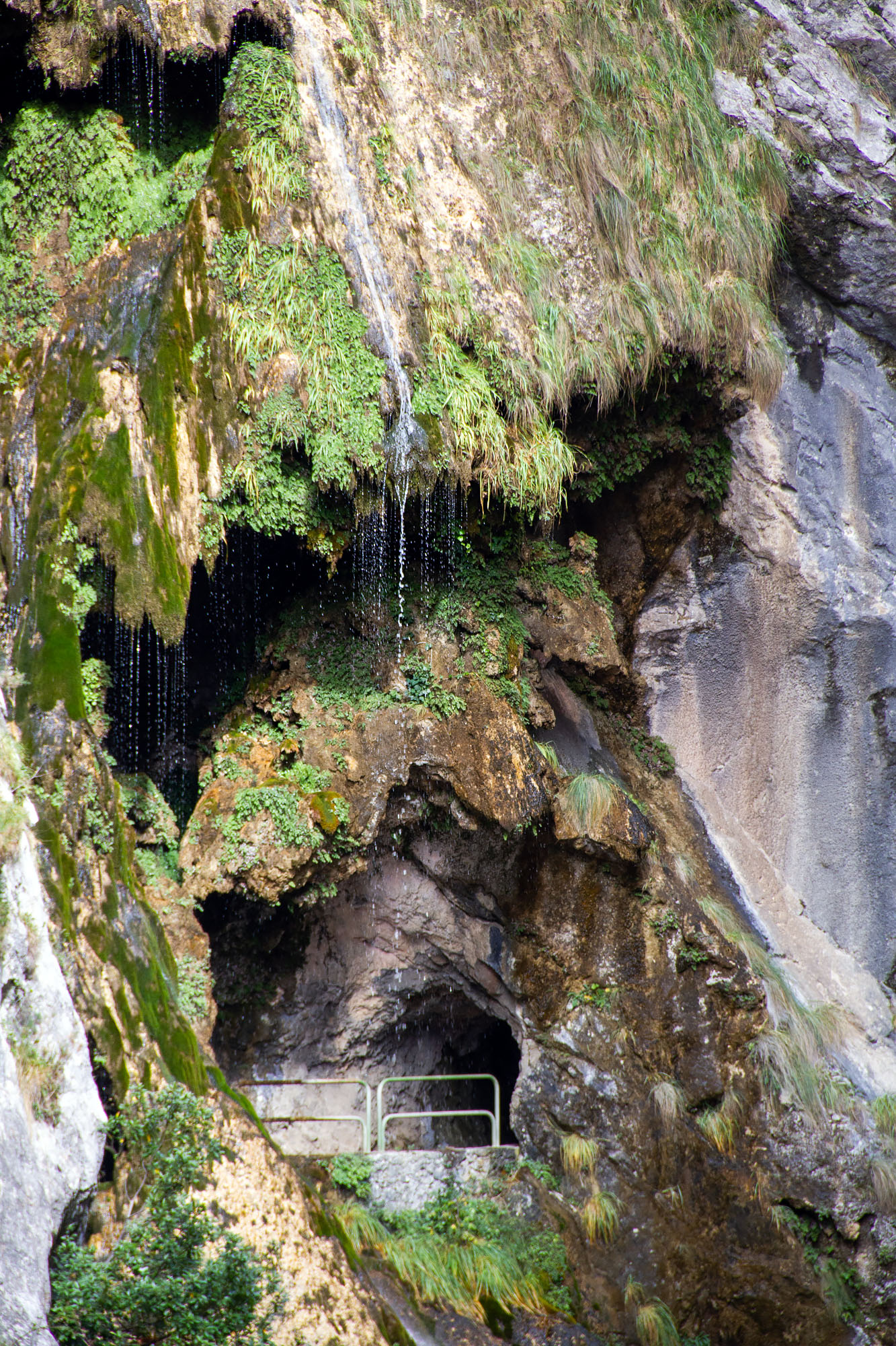 Asturian Jungle Hike