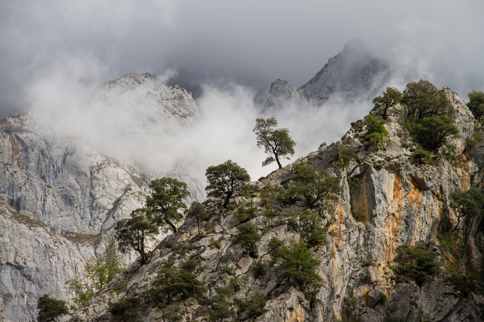 Amazing photos Asturias